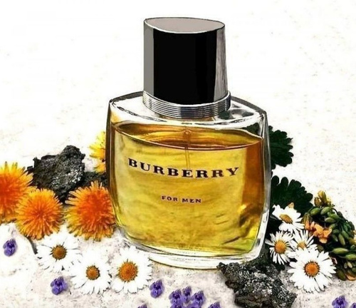 Burberry classic ingredients best sale