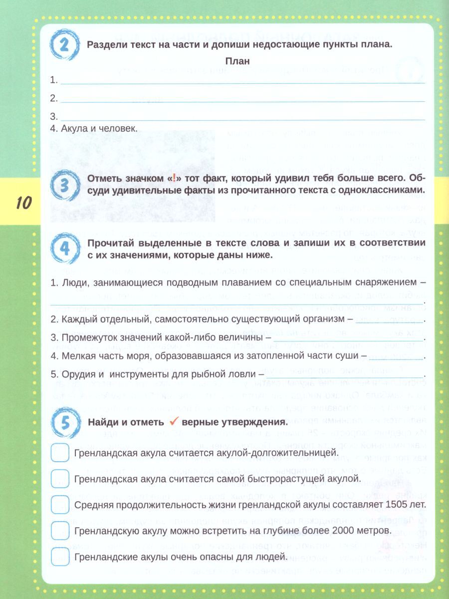 Смысловое чтение 4 класс. Тренажёр для школьников | Reading VPR Practice Tests, Grade 4 - Ozon image 1