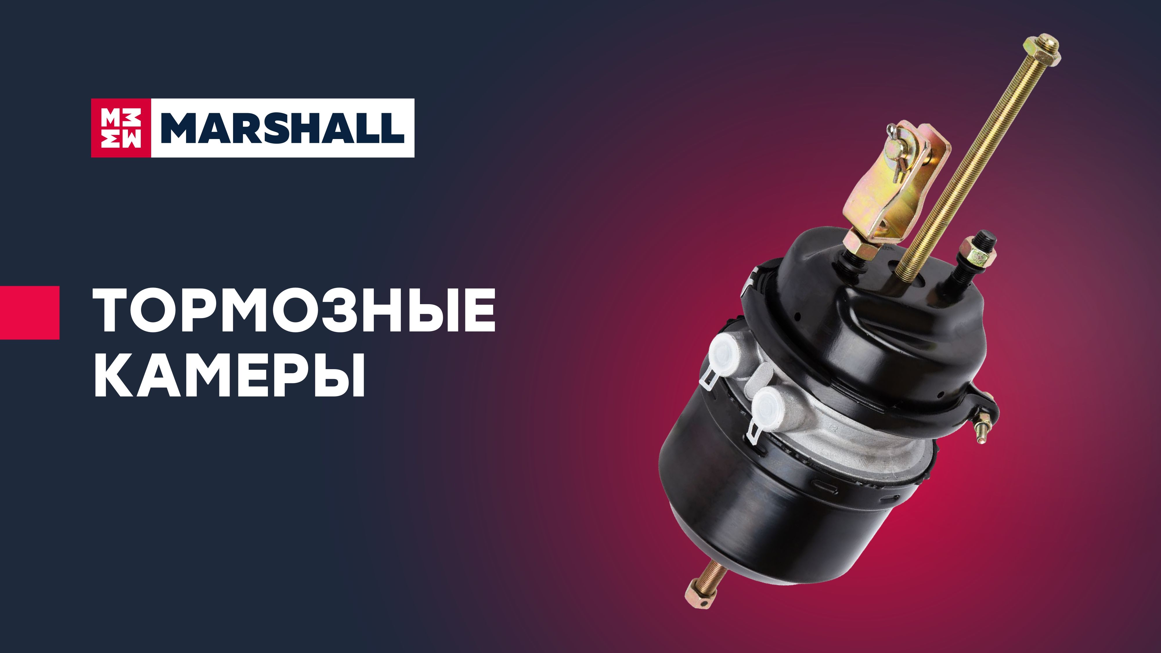 Тормозная камера с энергоаккумулятором с вилкой тип 30/30 о.н. 179 ...