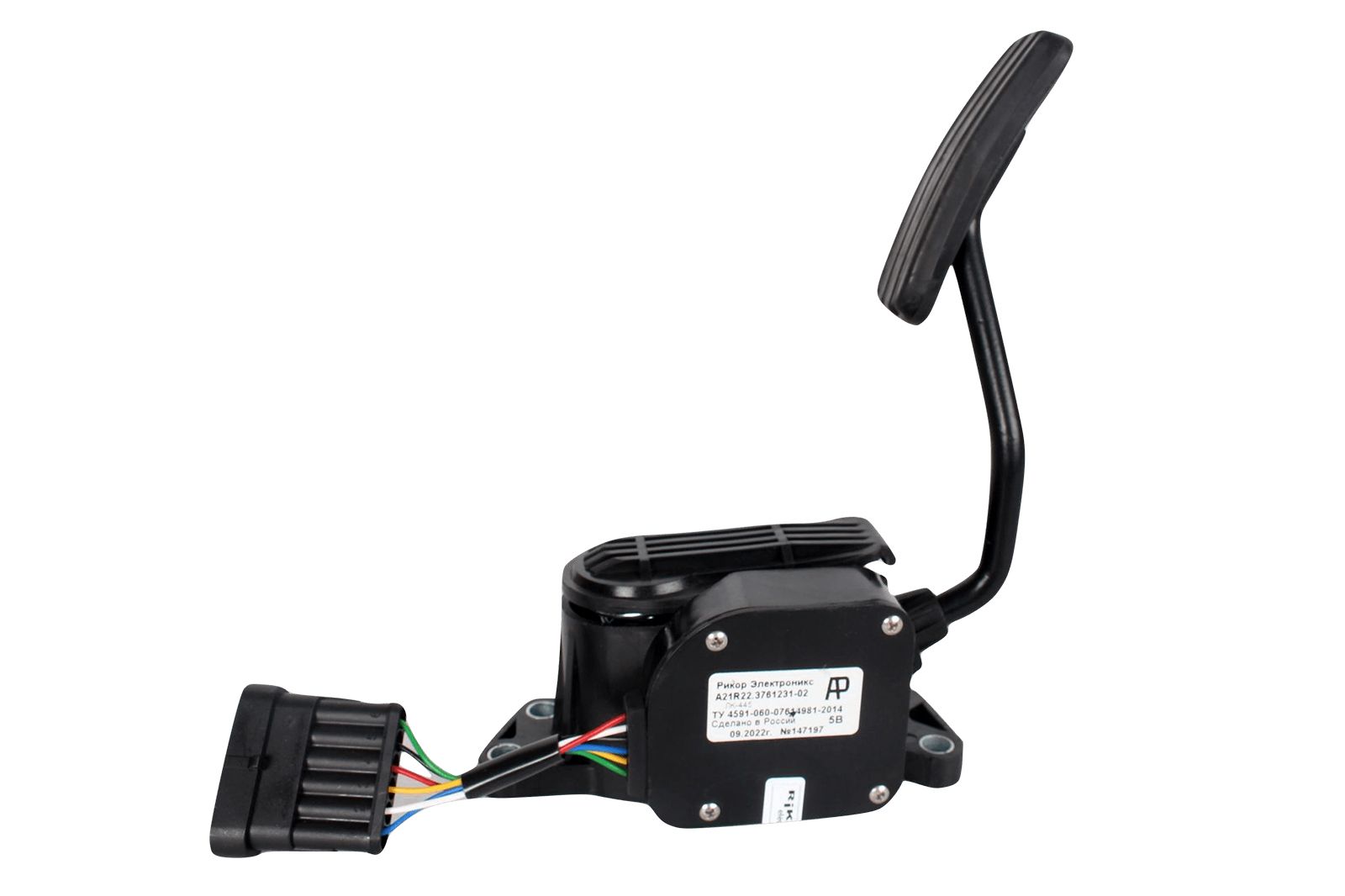 ダック 6912928499.jpg