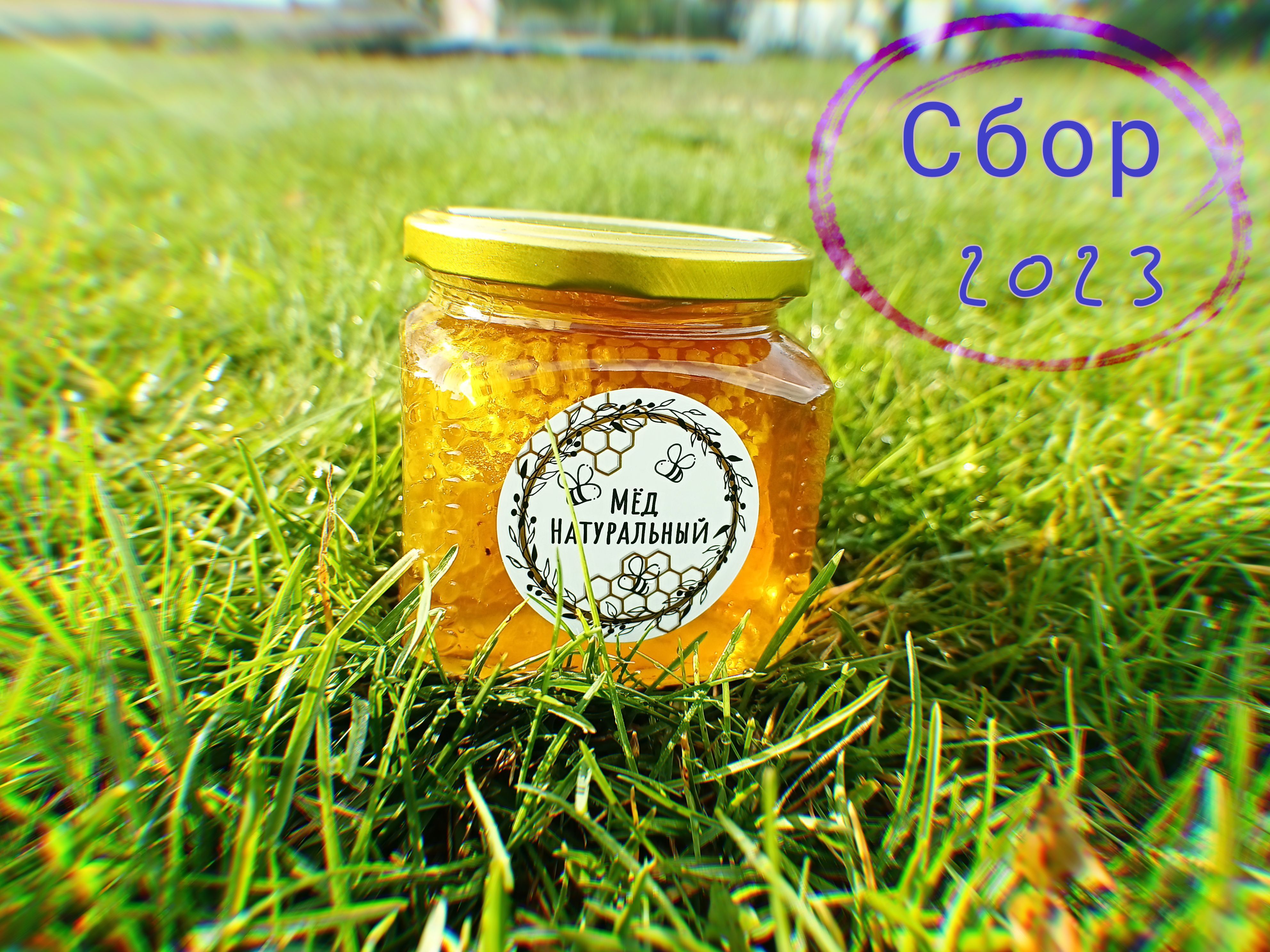 Үлкендерге арналған секс порносына барыңыз