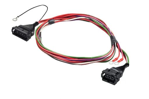 Жігіт босаса