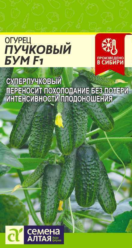 Семена Огурец Пучковый бум 5 шт (семян) (Семена Алтая) #1
