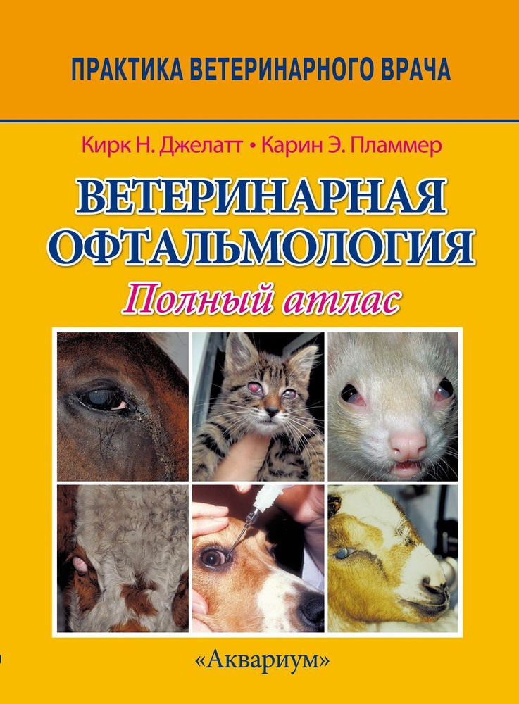 Оргазмды қолмен жасау Әдемі секс ру