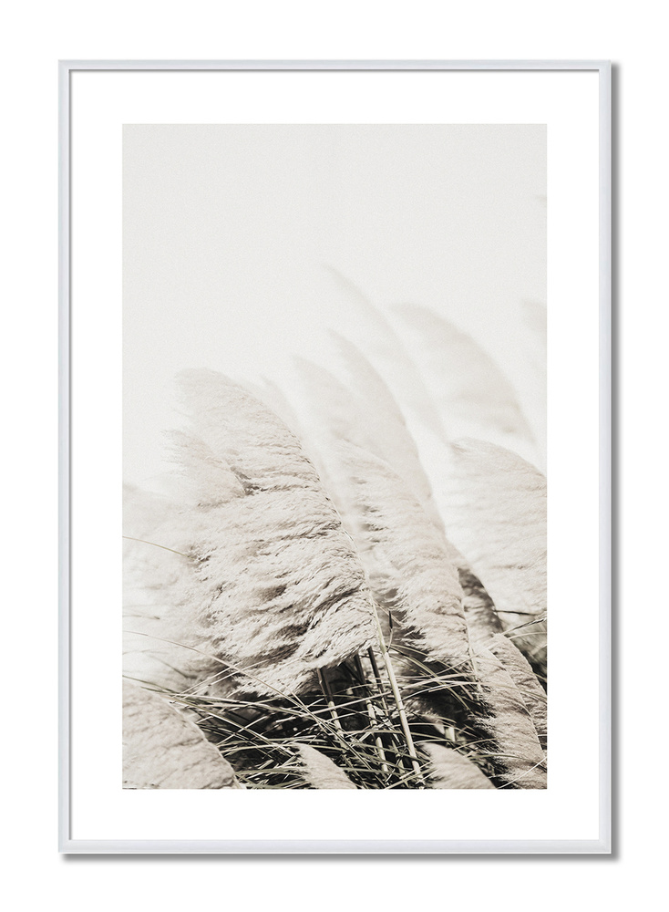 Постер в рамке Postermarkt Колосья #2, 40х50 см #1