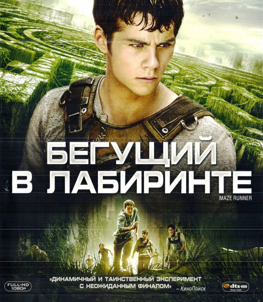 Бегущий в лабиринте (Blu-ray) - купить с доставкой по выгодным ценам в  интернет-магазине OZON (205460853)