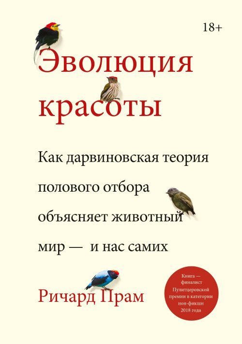 Как девушки выбирают партнеров?