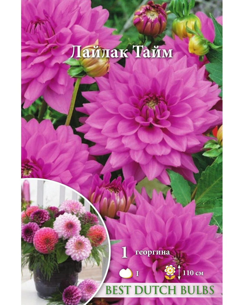 Клубни Русский огород купить по выгодной цене в интернет-магазине OZON ...