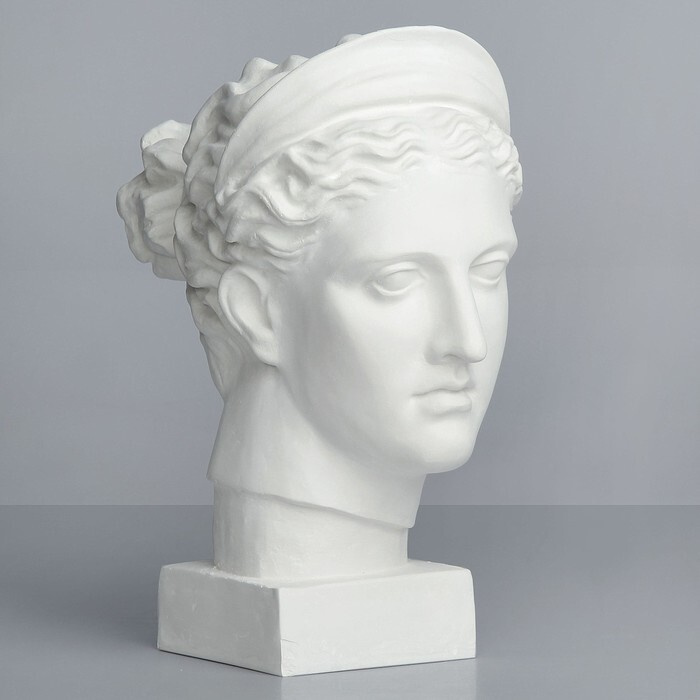 Дорифор гипсовая голова. Гипсовая голова давида референс. Пантеной гипсовая голова. Античная голова. Гипсовые головы какие.