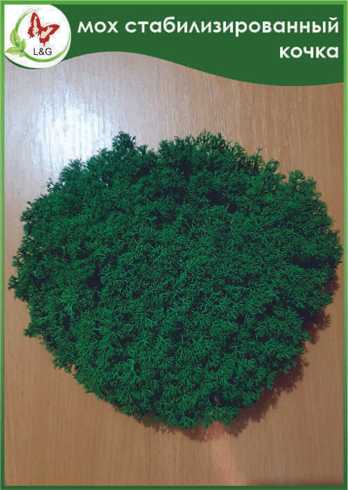Мох кочка лесная стабилизированная - купить с доставкой по выгодным ...