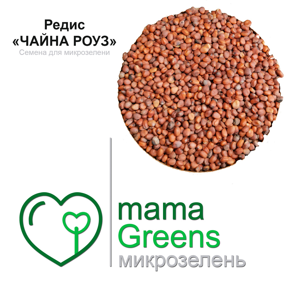 Семена Редис "Чайна Роуз" 25 гр - весовые семена для выращивания микрозелени и проращивания в домашних #1