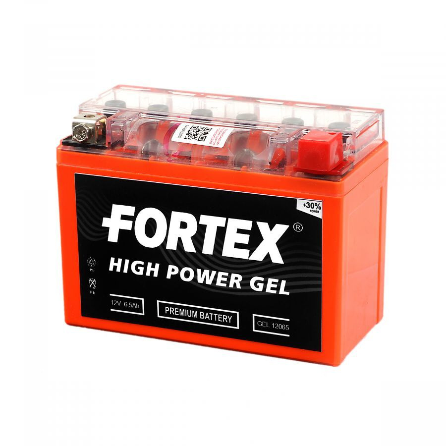 Аккумулятор для водной техники FORTEX Аккумулятор GEL 12065 12V6.5AН о.п.  (12N6.5L-BS) купить по выгодной цене в интернет-магазине OZON (556907961)