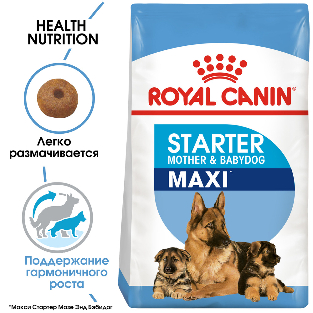 Royal canin sales maxi starter