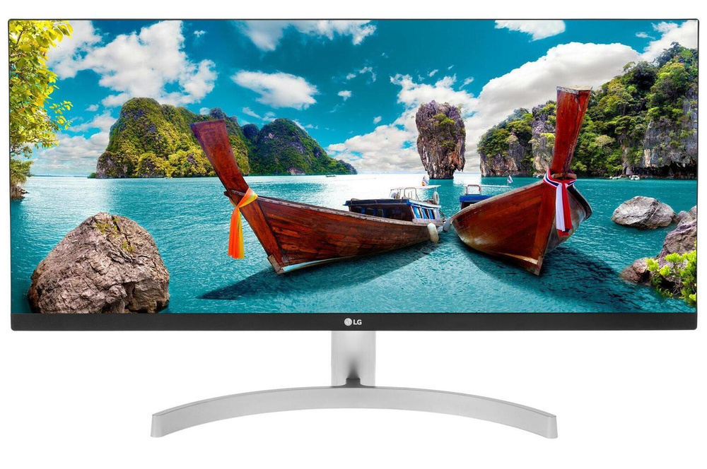 monitor 29wn600