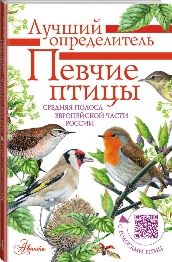 Книжки-малышка «Зимующие птицы»Быкова Злата, Рухлядева Елизавета | Образовательная социальная сеть