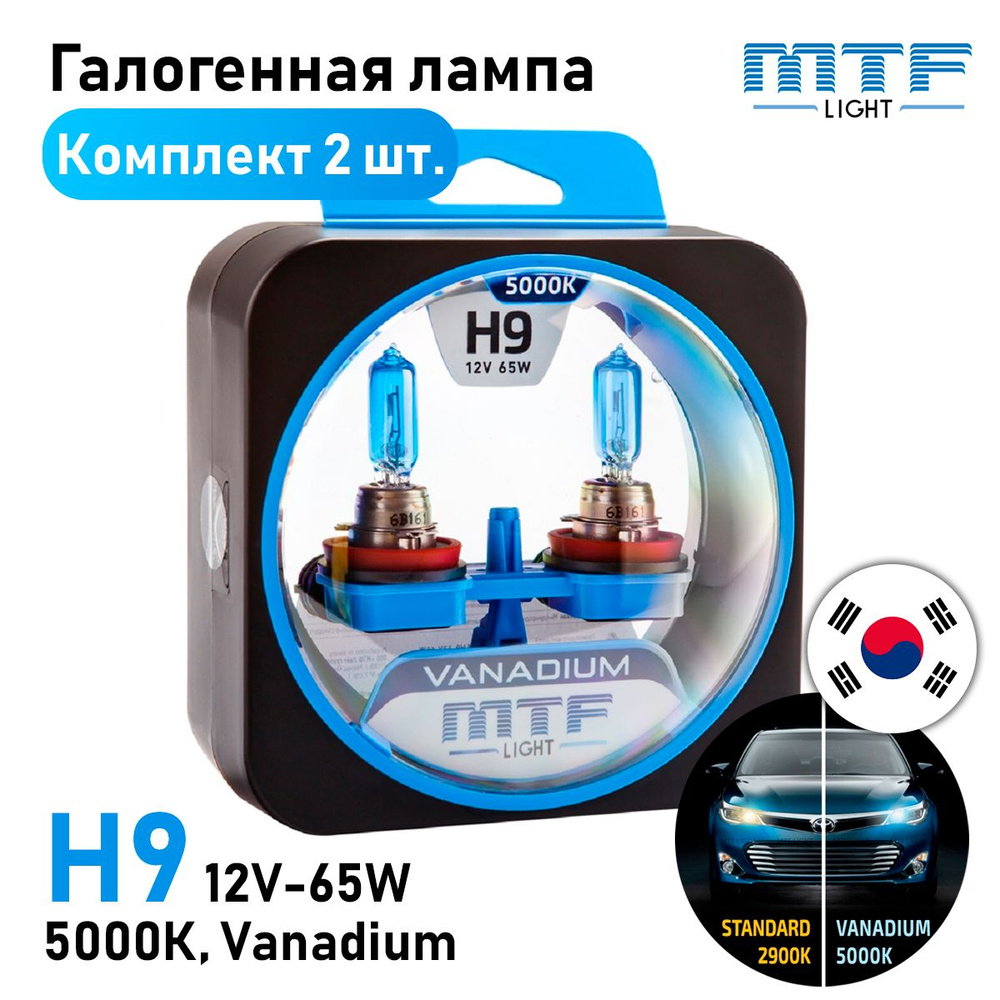 Лампа автомобильная MTF Light 12 В, 2 шт. купить по низкой цене с доставкой  в интернет-магазине OZON (1315314668)