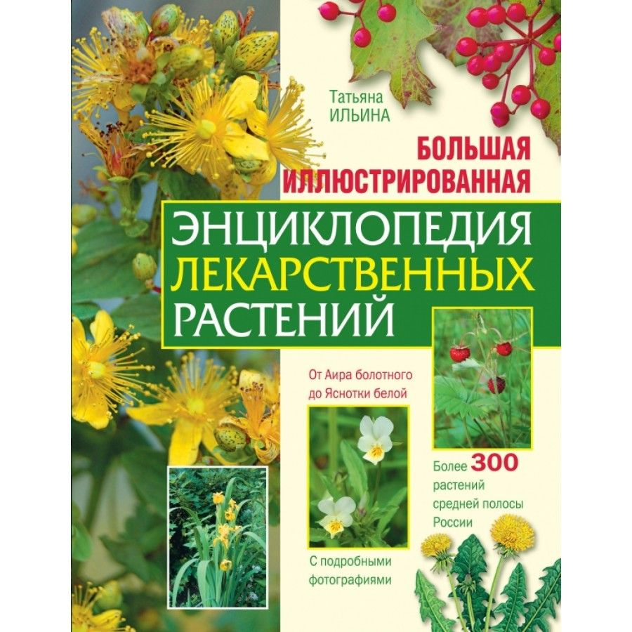 Большая иллюстрированная энциклопедия лекарственных растений. Ильина Т.А.  #1