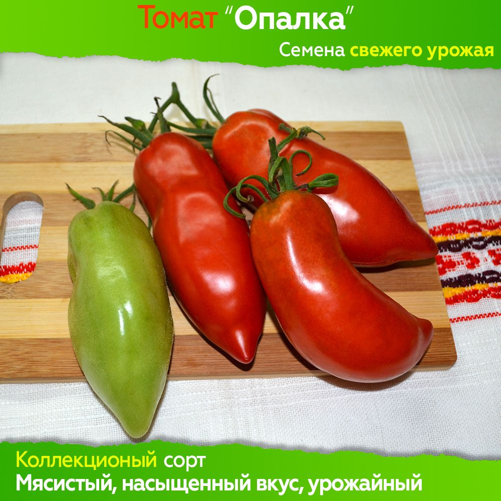 Семена томата Опалка - коллекционный сорт #1