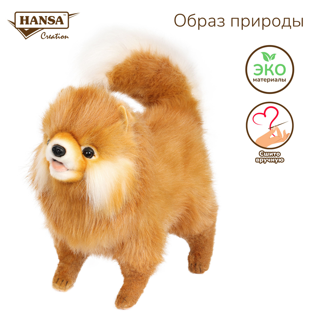 Мягкая игрушка плюшевая и реалистичная Hansa Creation Собака померанский  шпиц, 28 см - купить с доставкой по выгодным ценам в интернет-магазине OZON  (361882620)