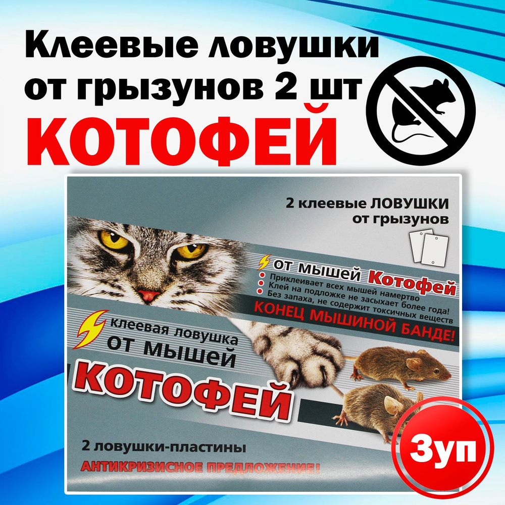 Как поймать кота-ворюгу? | Животные | kontaktstroi.ru