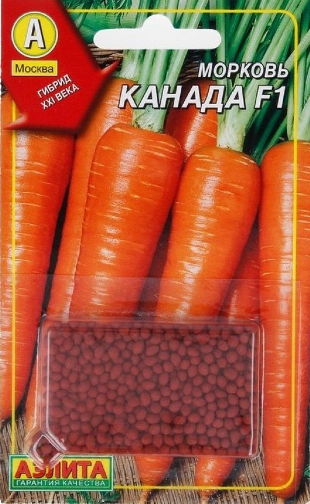 Сорт моркови канада фото