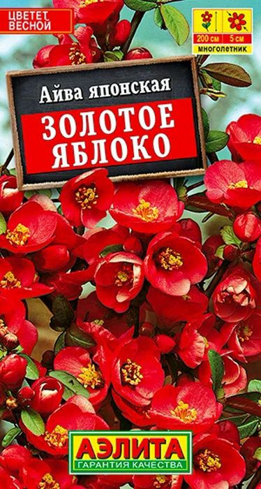 Семена Айва японская Золотое Яблоко (10 семян) - Аэлита, бонсай #1