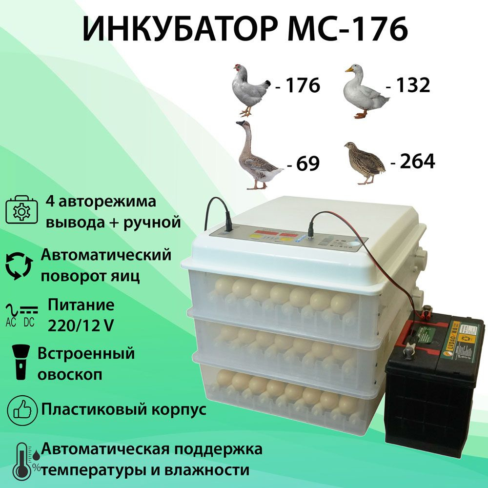 Инкубатор несушка арт. 76, кол-во яиц: 77, 220/12В, автоматический поворот