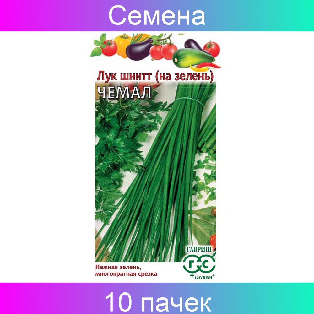 Лук Гавриш 7030444 - купить по выгодным ценам в интернет-магазине OZON ...