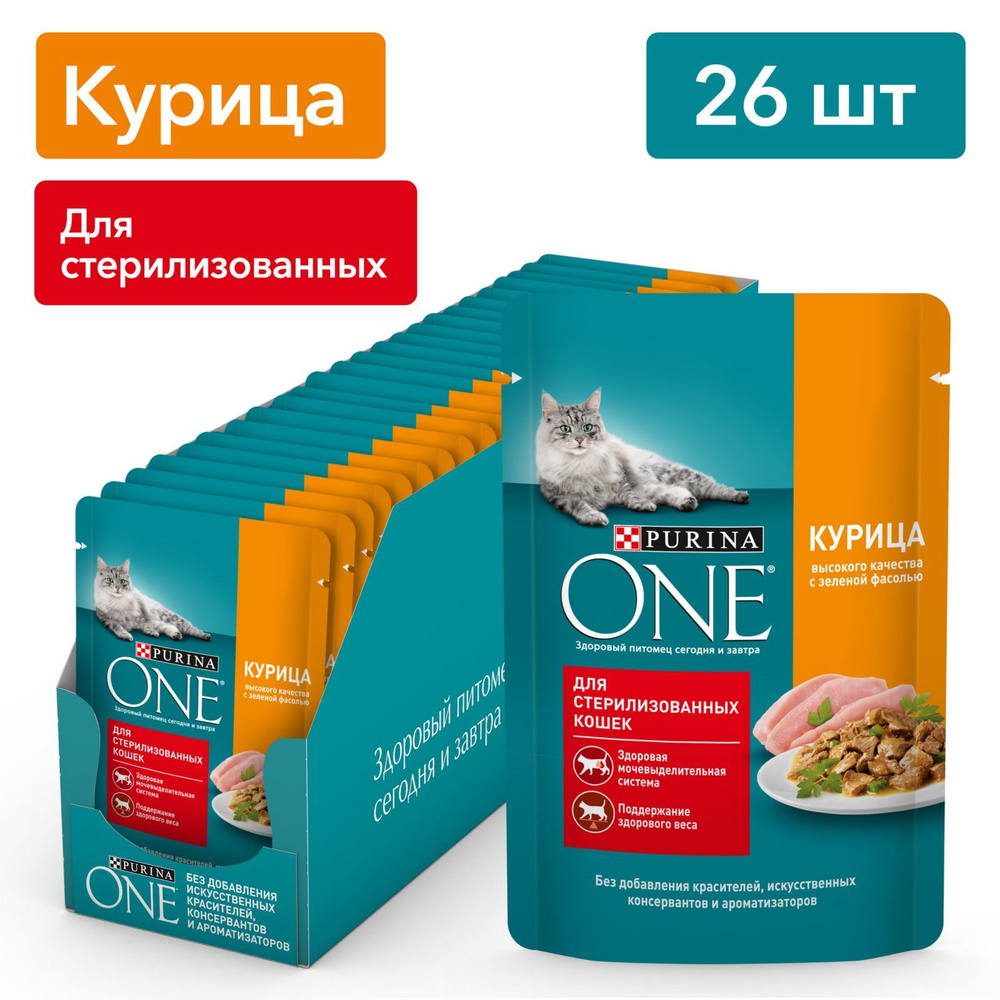 Влажный корм для кошек Purina ONE для стерилизованных, в соусе с курицей и  зеленой фасолью, 75 г х 26 шт - купить с доставкой по выгодным ценам в  интернет-магазине OZON (169587862)