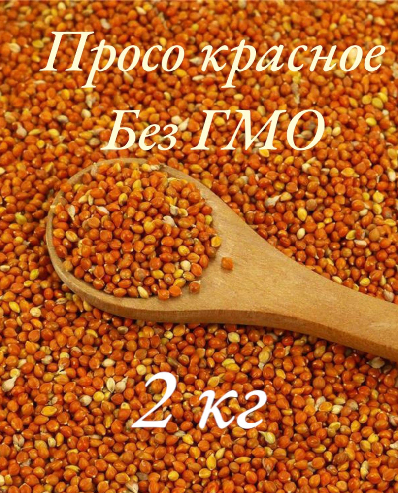 Просо красное - купить с доставкой по выгодным ценам в интернет ...