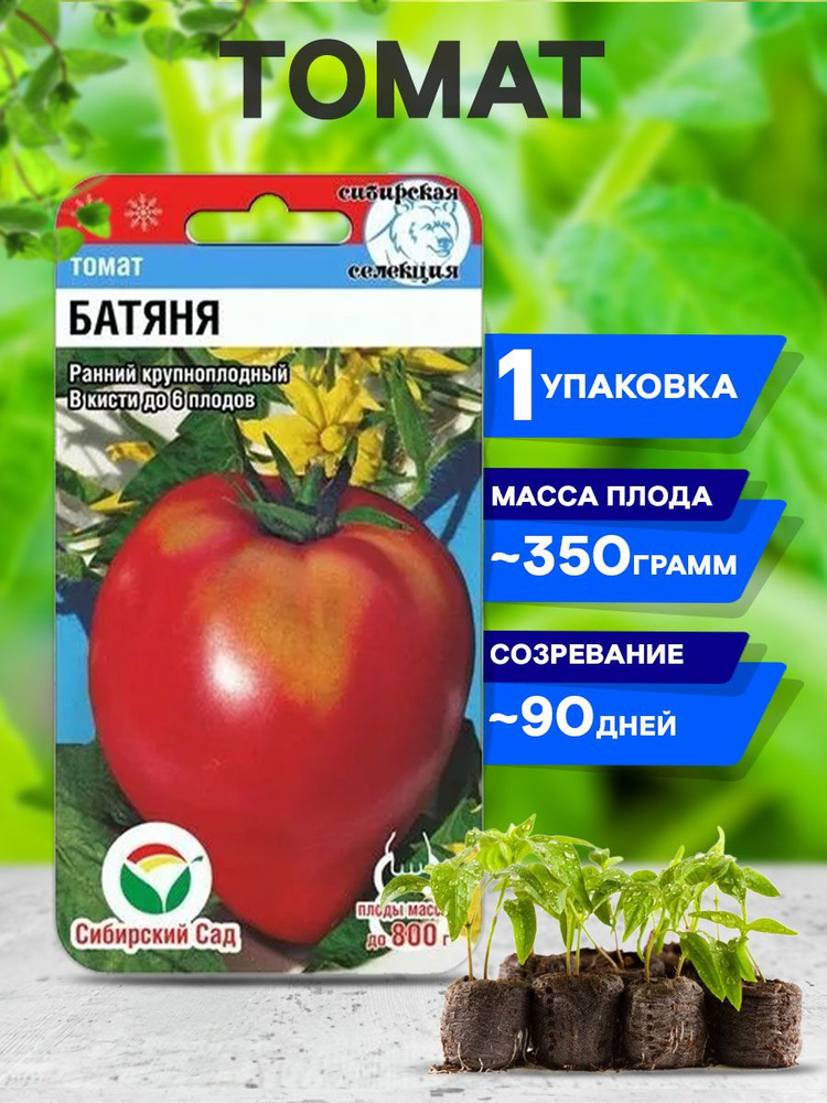 Семена Помидор Батяня Купить