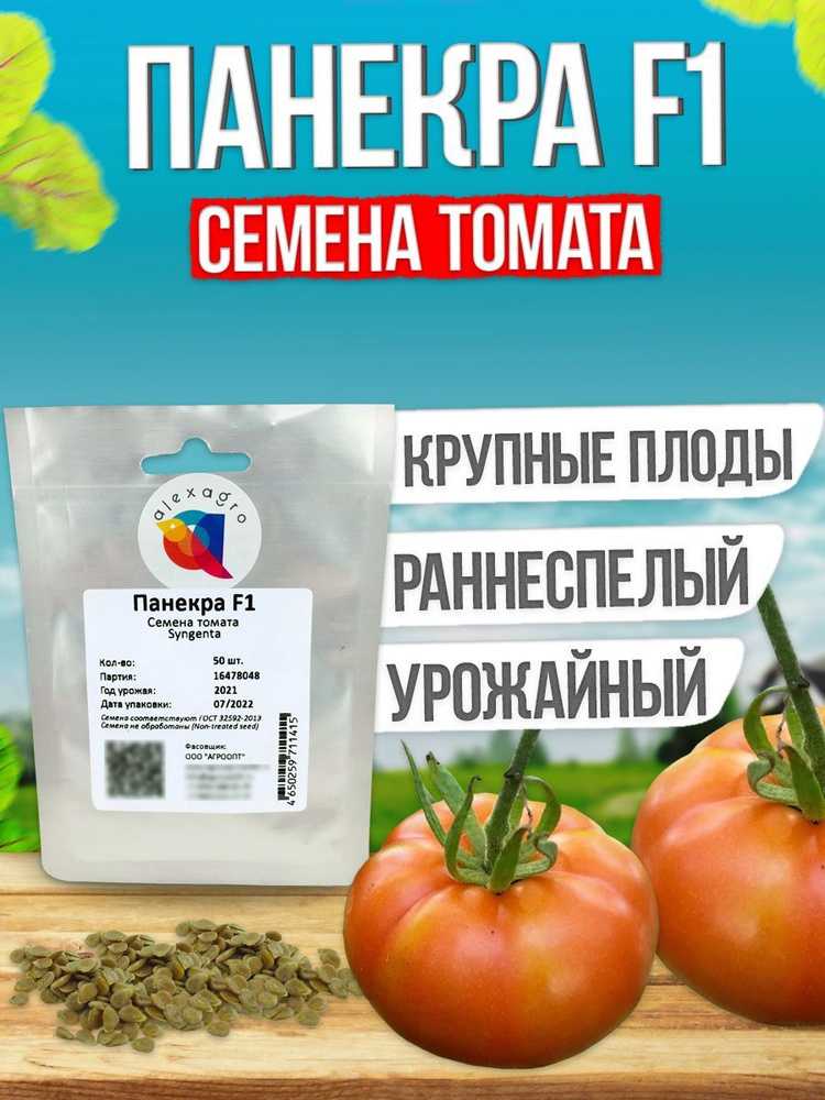 Панекра F1 семена томата раннего, 100 шт. (Syngenta / ALEXAGRO). Высокоурожайный, индетерминантный гибрид #1