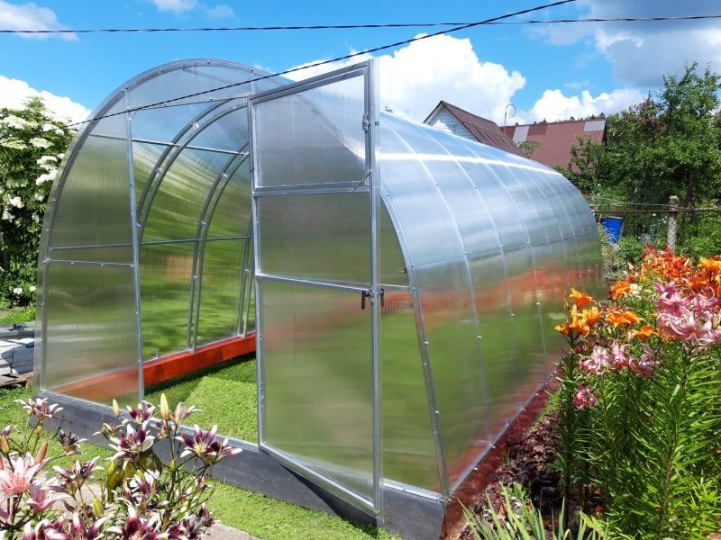 Теплица усиленная. Теплица поликарбонат чехов. Теплица капля из поликарбоната. 0 240х300см. Теплица "капелька".