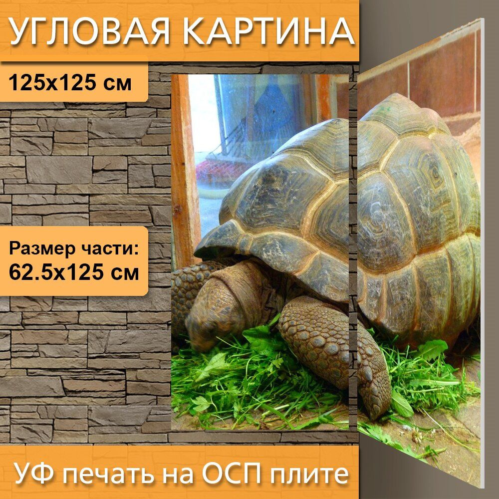 Угловая модульная картина 