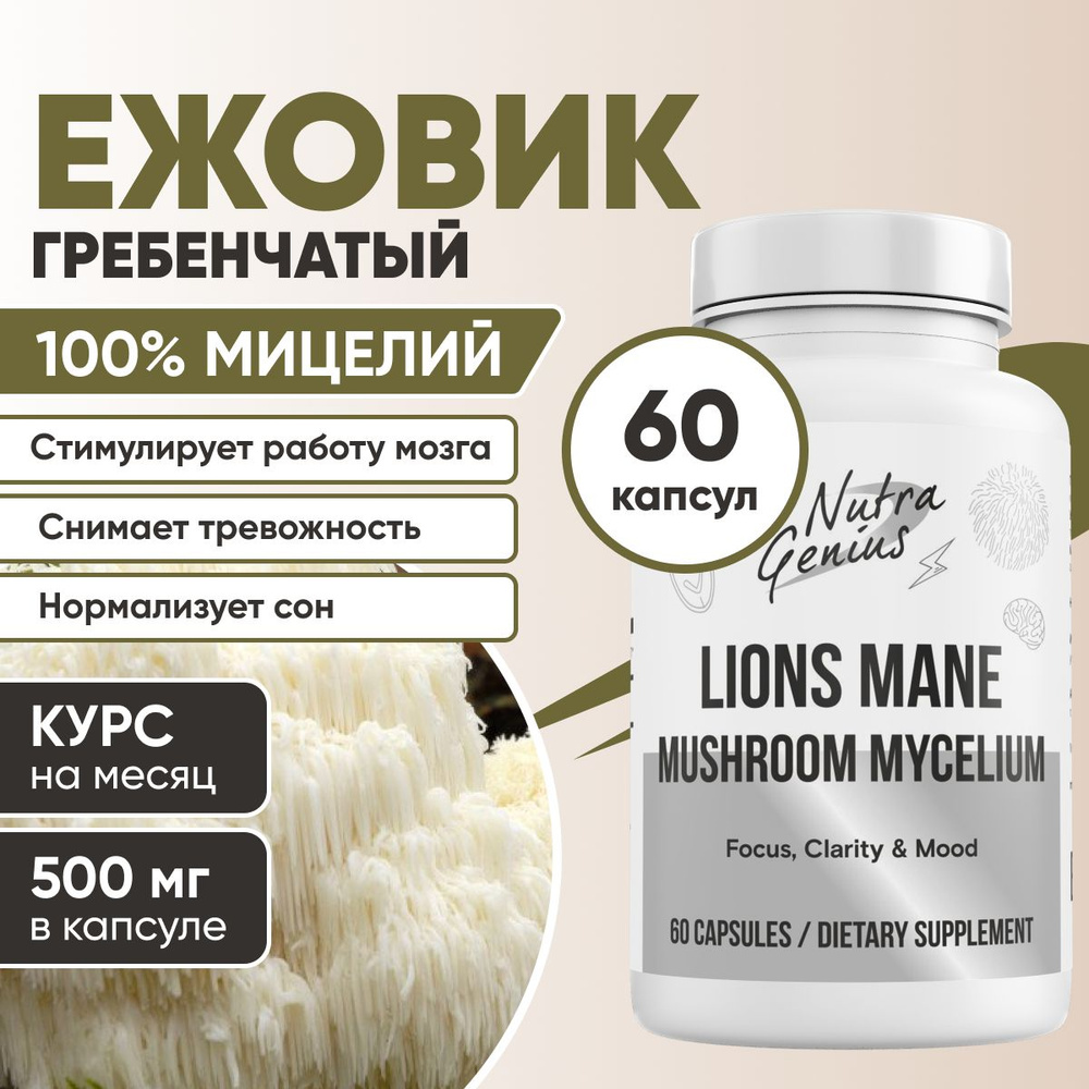 Ежовик гребенчатый, Lion's Mane, Мицелий, Львиная грива, Герициум, 60 ...