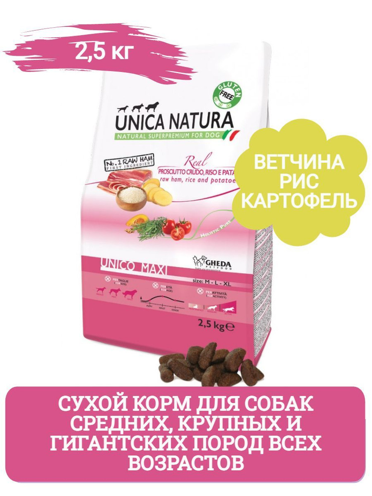 Картофель Уника Купить