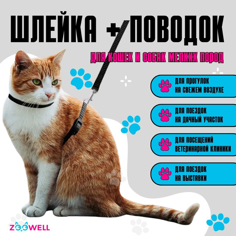 Шлейка с поводком для кошек, котят, кролика, шлейка для маленьких пород  собак, с поводком (черный). - купить с доставкой по выгодным ценам в  интернет-магазине OZON (484660517)