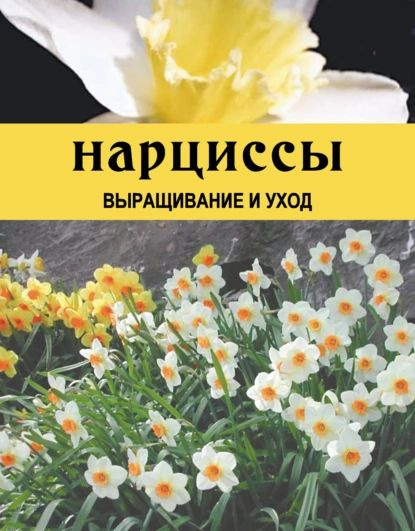 Нарциссы. Выращивание и уход | Резько Дарья Викторовна | Электронная книга  #1