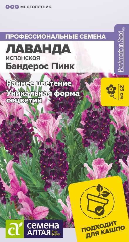 Семена Лаванда Бандерос Пинк испанская 5 шт. #1