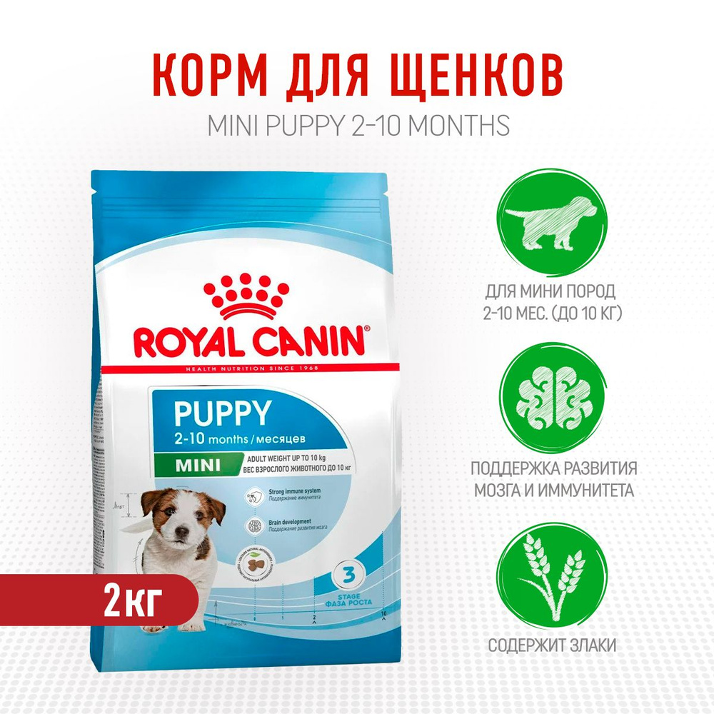 Royal Canin Mini Puppy сухой корм для щенков мелких пород до 8 месяцев - 2  кг - купить с доставкой по выгодным ценам в интернет-магазине OZON  (668491084)