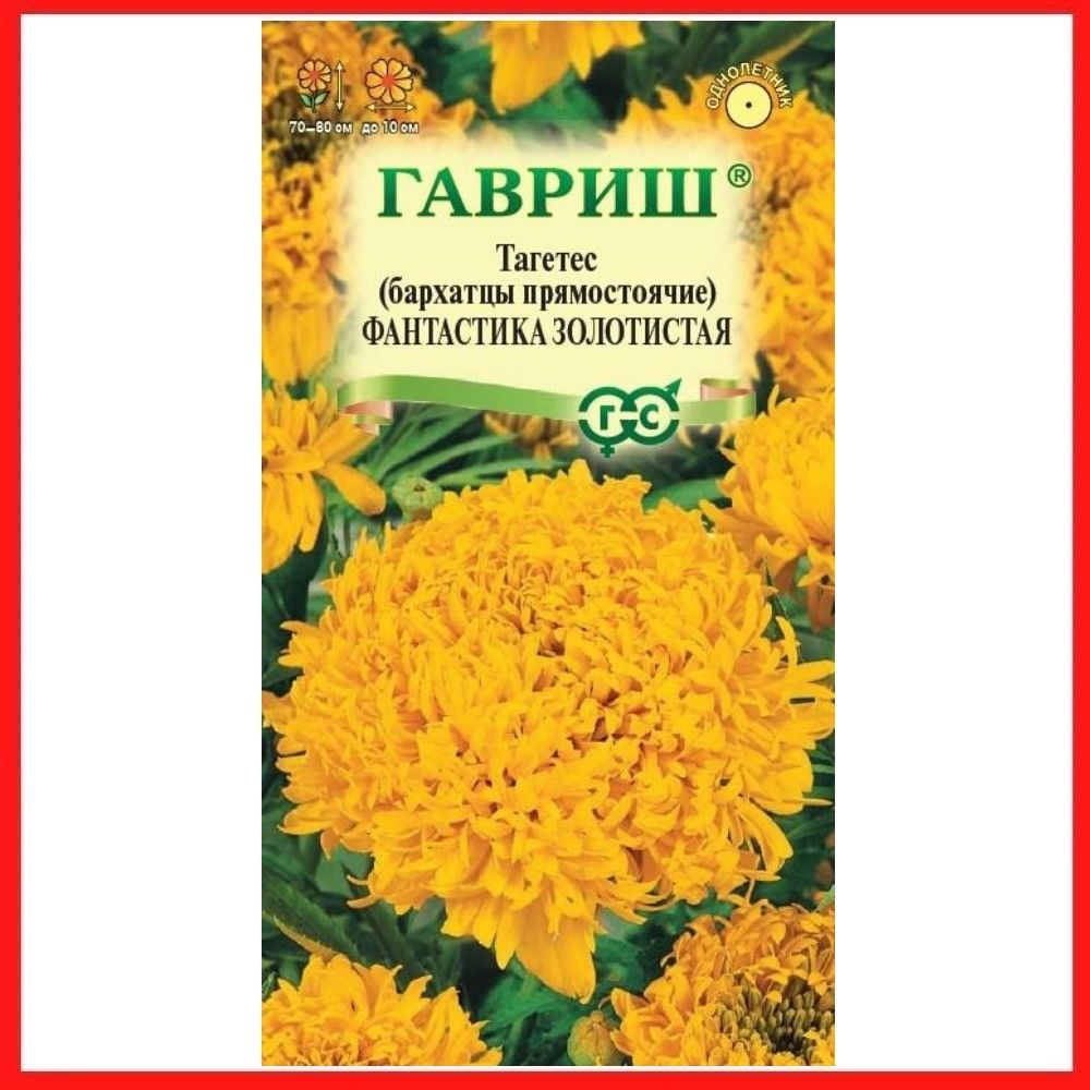 Семена Бархатцы прямостоячие "Фантастика золотистая" Тагетес 0,1 гр, однолетние цветы для дачи, сада #1