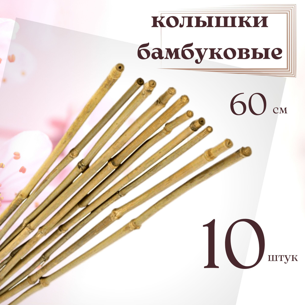 Колышки бамбуковые, 60 см, диаметр 8/10 мм, 10 шт #1