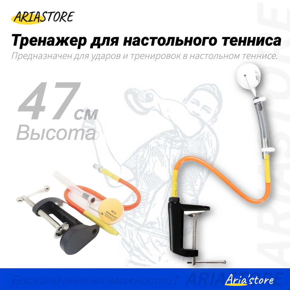 ARIASTORE Тренажер для настольного тенниса - купить с доставкой по выгодным  ценам в интернет-магазине OZON (942852361)