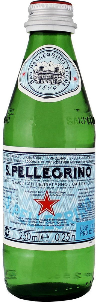 San Pellegrino Вода Минеральная Газированная 250мл. 24шт #1