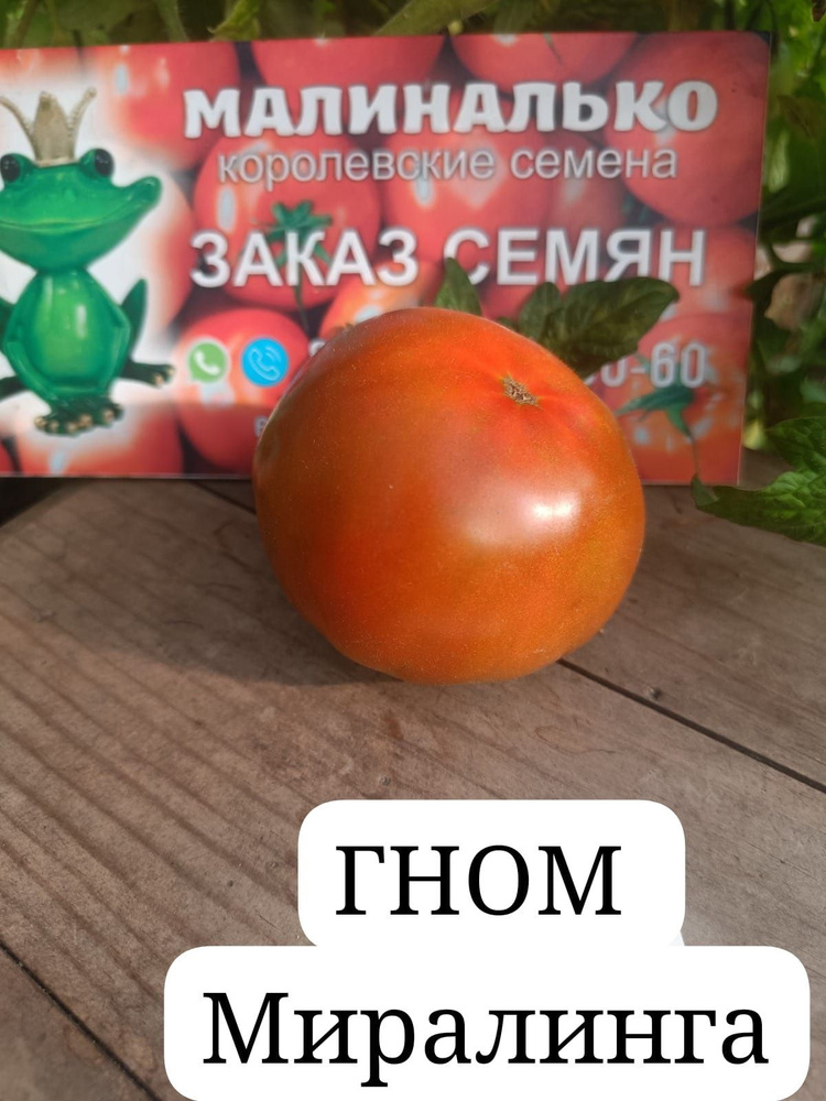 Семена #1