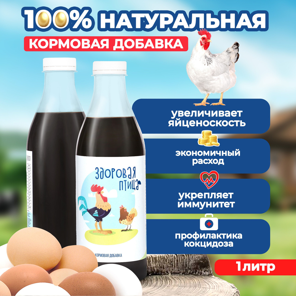 Расклев яиц курами. Что делать? Как отучить?