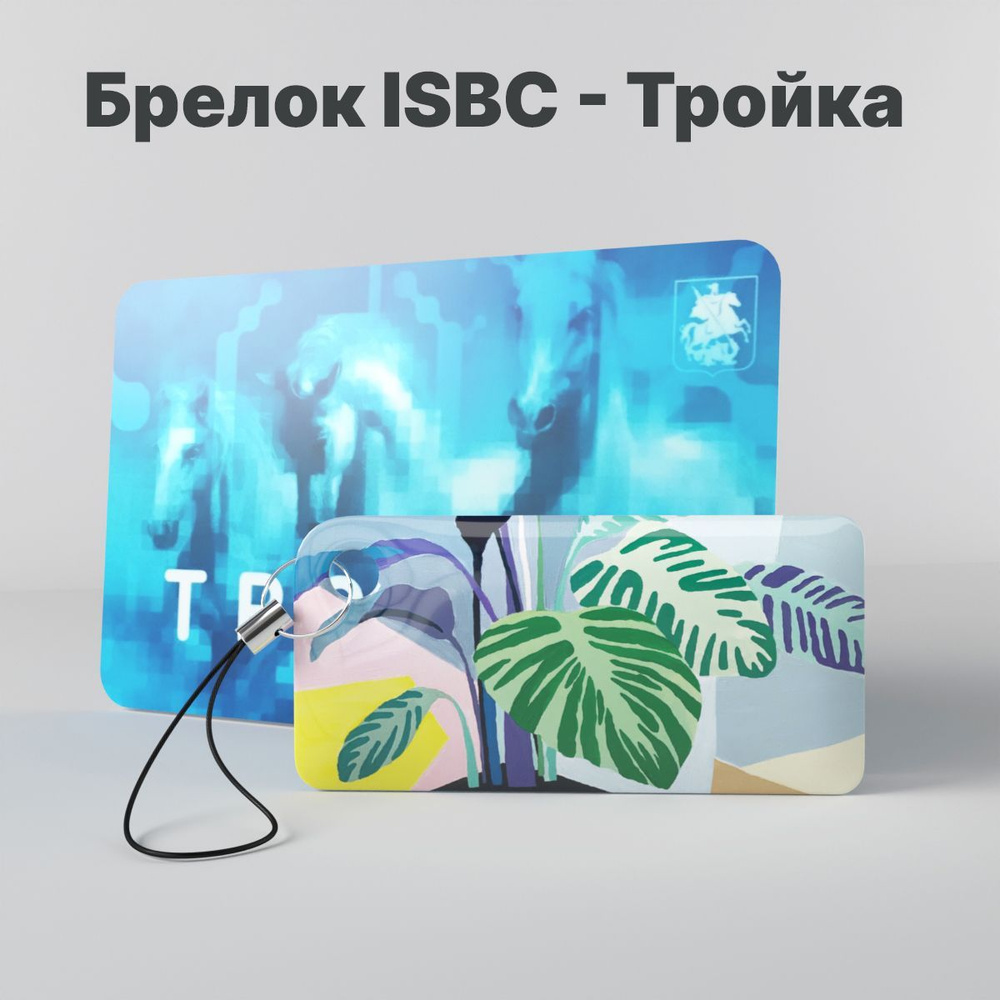 Брелок ISBC с функционалом карты "Тройка" "Городские джунгли; Диффенбахия" арт. 121-45688  #1