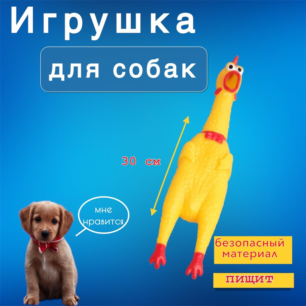 Игрушка для собак Курица с пищалкой игрушка для животных  #1