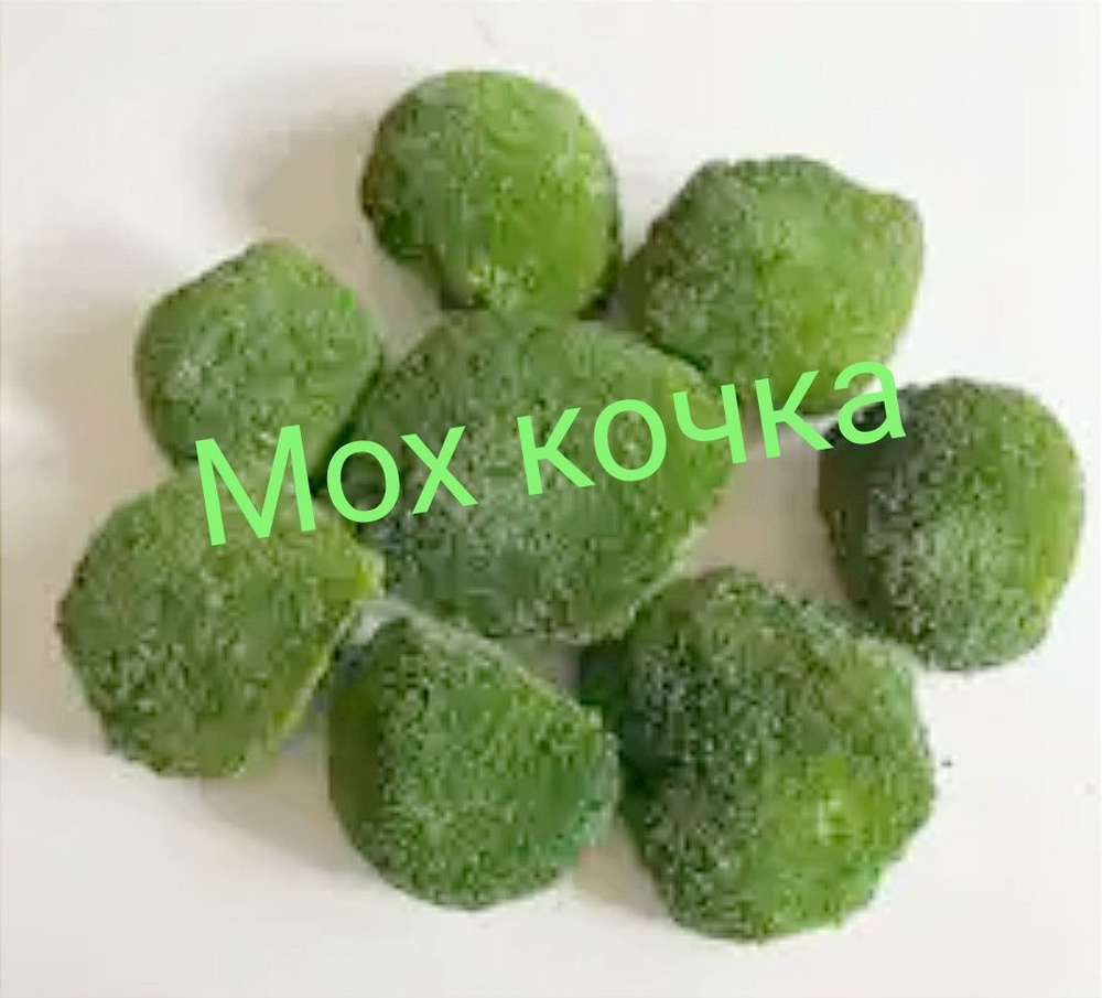 Мох кочка низкорослый. Натуральный. Живой. #1