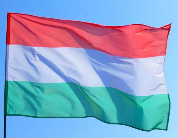 Двусторонний флаг Венгрии 40х60 см на лодку, катер или яхту с люверсами  #1